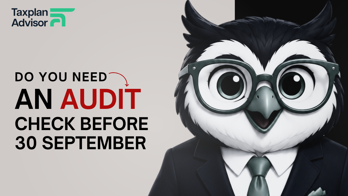 Visual summary for Tax Audit Due Date 2026 Who Needs an Audit Before 30 September